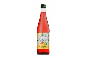 mazsald_bole_vizualizcija_1680849816